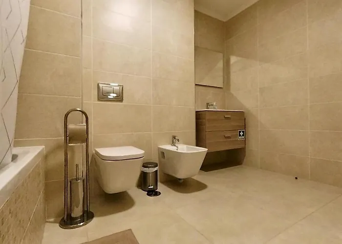 Elite 2c 波尔蒂芒